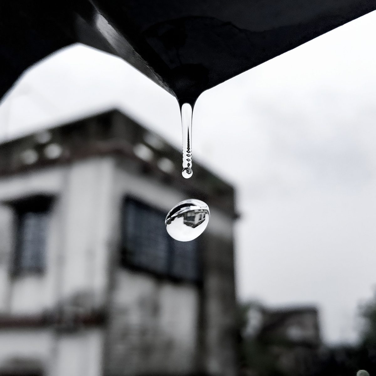 Récupérateur d'eau de pluie dans un jardin
